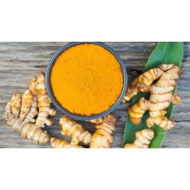 KURKUMA ŚWIEŻY CU NGHE TUOI 250g/opk*8