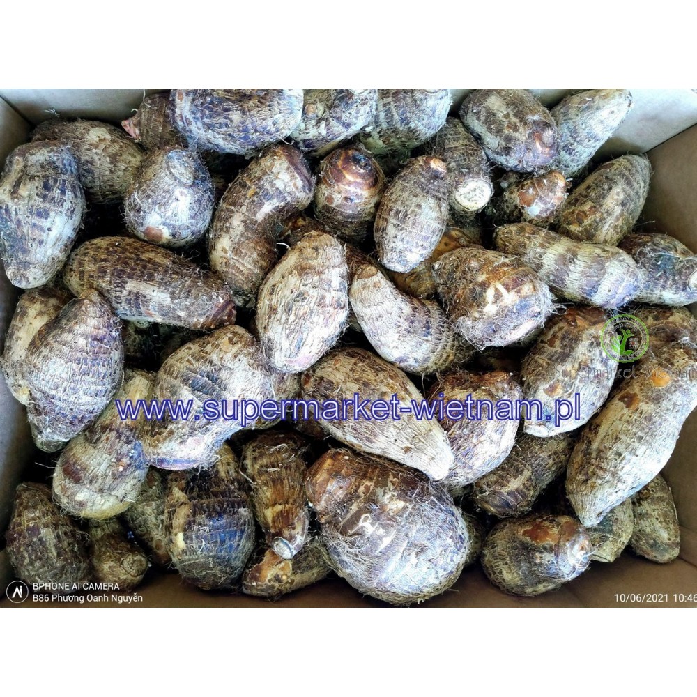 Taro khoai so kg